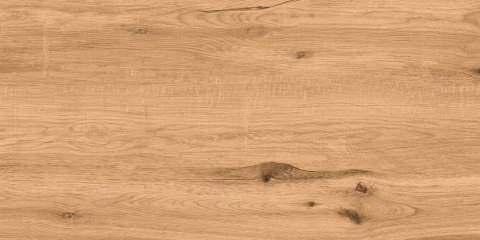 L RUSTA HONEY MATT 60X120 G.1