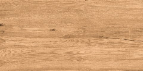 L RUSTA HONEY MATT 60X120 G.1