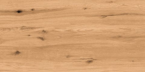 L RUSTA HONEY MATT 60X120 G.1