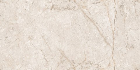 L SILVA BIANCO INFINITY MATT CARVING 60X120 G.1 - SPRAWDŹ FAKTYCZNĄ CENĘ I DOSTĘPNOŚĆ