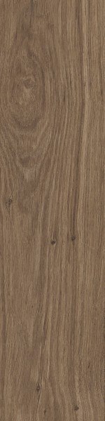 SG DUBLIN BROWN 15,5X62 G.2