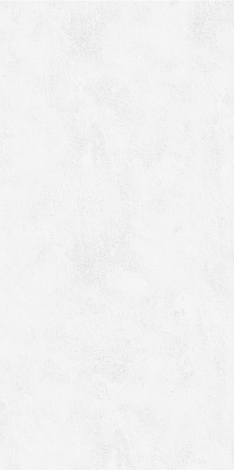 T ECHO BRUSH SILVER STR 59,8X119,8 G.1