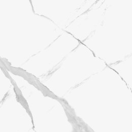 CERRAD WYPRZ Pp STATUARIO NUOVO RECT. 797x797x8 G.2 CD