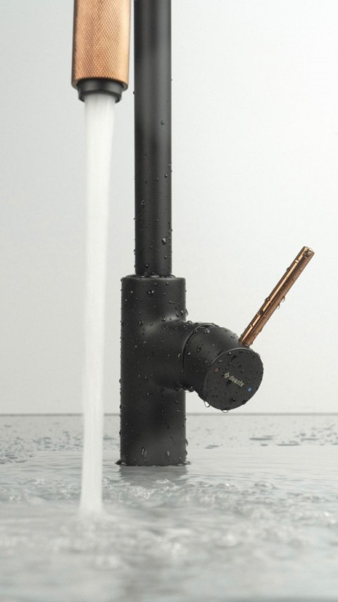 Deante Bateria kuchenna z podłączeniem do filtra wody