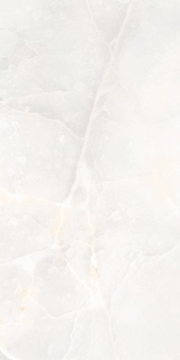 L AURELIA WHITE POLISHED 60X120 G.1 - SPRAWDŹ FAKTYCZNĄ CENĘ I DOSTĘPNOŚĆ.