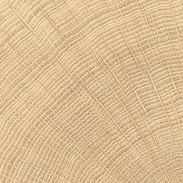 Provenza - Włochy W Circles Oak Nat. 10x10