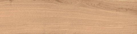 REI ALMOND MATT 2.0 29,7X120 - SPRAWDŹ FAKTYCZNĄ CENĘ I DOSTĘPNOŚĆ.