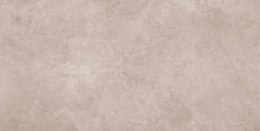 SILSTONE GREY 60X120 (1.44) CARVING