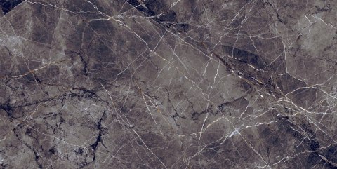 SURPRISE PURPLE 60X120 (1,44) GLOSSY