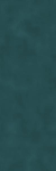 WILD STORY TURQUISE ŚCIANA REKT. MAT 29,8X89,8 G1