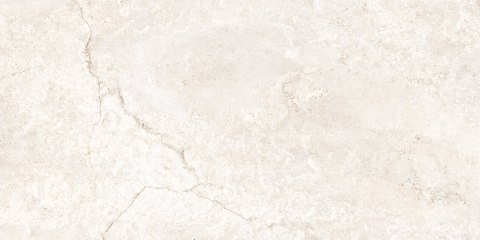 ECOCERAMIC EC.BRUMA WHITE 60x120 MAT G1 EC