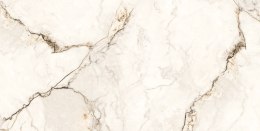 GOLD MARMO WHITE 60X120 POLISHED+CARVING G1 GOLD