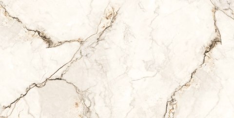 GOLD MARMO WHITE 60X120 POLISHED+CARVING G1 GOLD