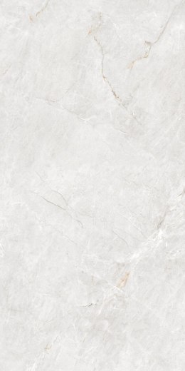 IMP 1 Pp FORESTER BIANCO 60X120 MATT+CARVING G1.IMP1