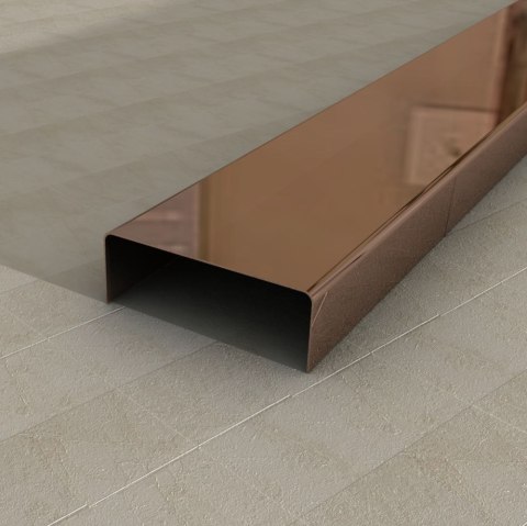 LISTWA ZE STALI NIERDZEWNEJ 0,6/2,0/270 BRONZE B20