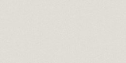 CERRAD WYPRZ MONOLIGHT EXTERIOR WHITE RECT. 597x297 G.2 CD