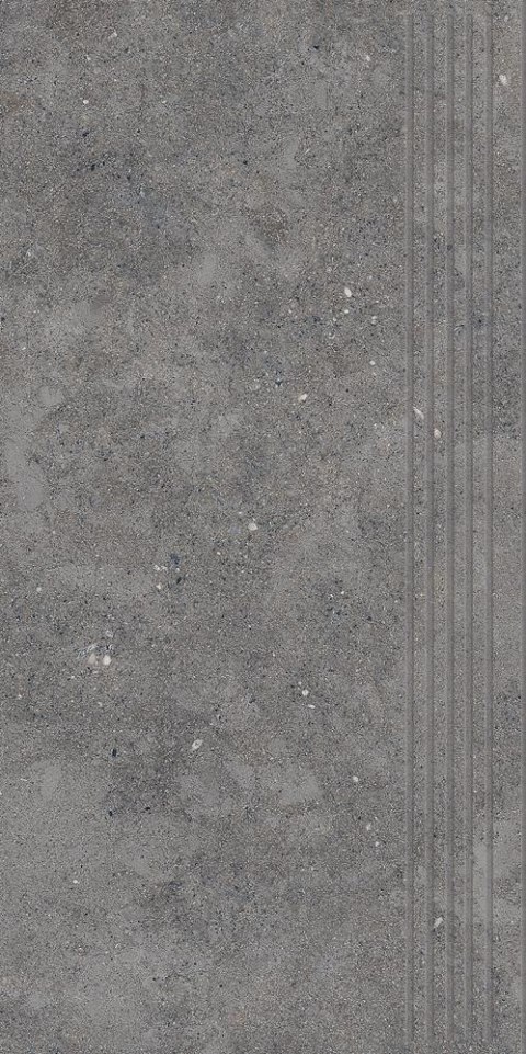 CITYROCK BASALT STOPNICA PRASOWANA MAT 29,8X59,8