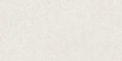 ECOCERAMIC EC.SOUTHWELLCROS WHITE 120x60 G.1 EC