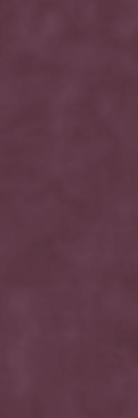 PLACE OF SHINE PLUM ŚCIANA REKT. MAT 29,8X89,8 G1