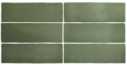 EQUIPE MAGMA MALACHITE 6,5X20 G1 EQ 24965