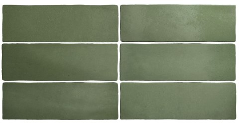 EQUIPE MAGMA MALACHITE 6,5X20 G1 EQ 24965