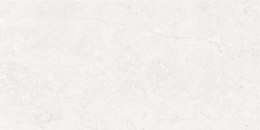 PLATINO BIANCO 60x120 (1,44) COLORBODY rustic with glossy