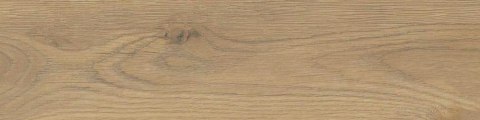 TAIGA HONEY GRES SZKL. SGR282-2 15,5X62