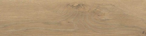 TAIGA HONEY GRES SZKL. SGR282-2 15,5X62