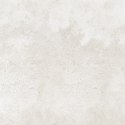 TENDER IVORY MATT 60X60