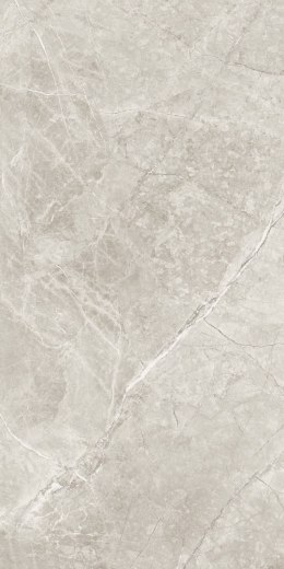 THE STONE BEIGE MATT 60X120