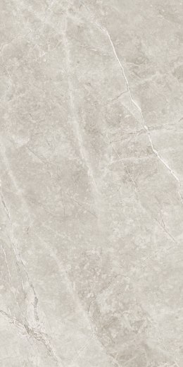 THE STONE BEIGE MATT 60X120