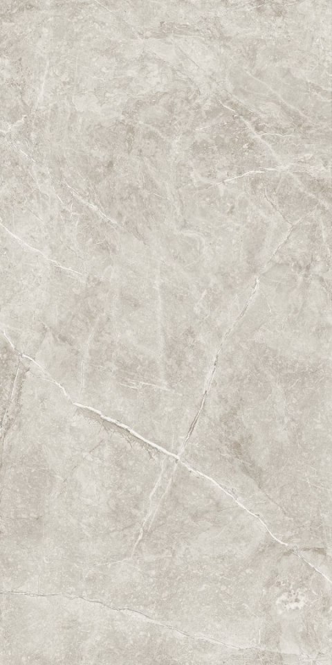 THE STONE BEIGE MATT 60X120