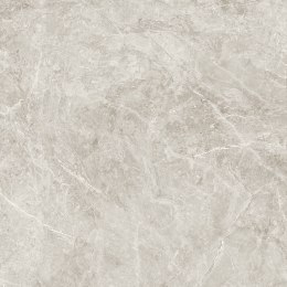 THE STONE BEIGE MATT 60X60