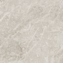 THE STONE BEIGE MATT 60X60