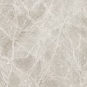 THE STONE BEIGE MATT 60X60