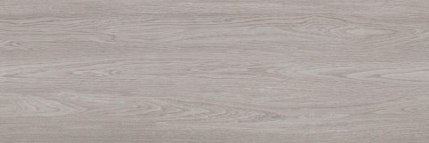 CERAMIKA COLOR Pś WONDERWOOD DARK RETT. 25x75 G.1 CC PROMO