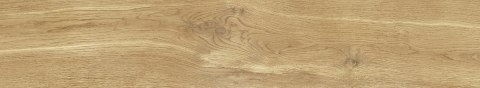 CERRAD KLINKIER GIORNATA ORO 600x110x8 G.1 CD