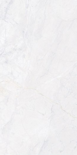 IMP 1 VISTULA PEARL 60X120 MATT+CARVING G1.IMP1