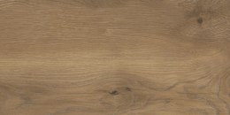 STARGRES Pp TAIGA / SGR257-1 WOOD BROWN 30x60 G.1 SG PROM