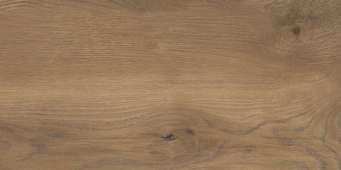 STARGRES Pp TAIGA / SGR257-1 WOOD BROWN 30x60 G.1 SG PROM