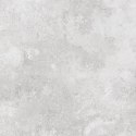 TENDER LIGHT GREY MATT 60X60