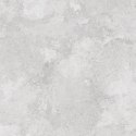 TENDER LIGHT GREY MATT 60X60