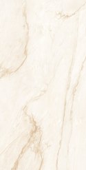 ARMONY BEIGE POLISHED CARVING 60X120 - SPRAWDŹ FAKTYCZNĄ CENĘ I DOSTĘPNOŚĆ.