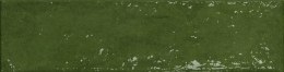 CERRAD Pś PALETTE GREEN 300x74x9 G.1 CD