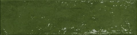 CERRAD Pś PALETTE GREEN 300x74x9 G.1 CD