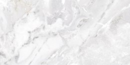 NIEBLA POLISHED 59X119