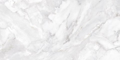 NIEBLA POLISHED 59X119