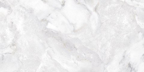 NIEBLA POLISHED 59X119