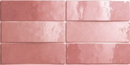 EQUIPE ARTISAN ROSE MALLOW 6,5X20 G1 EQ 24466