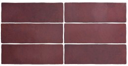 EQUIPE MAGMA BURGUNDY 6,5X20 G1 EQ 24967